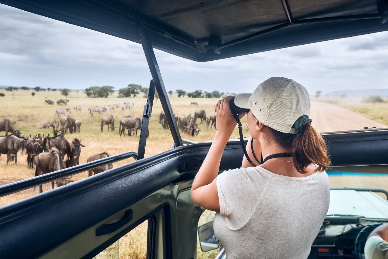 Masai Mara Safari  